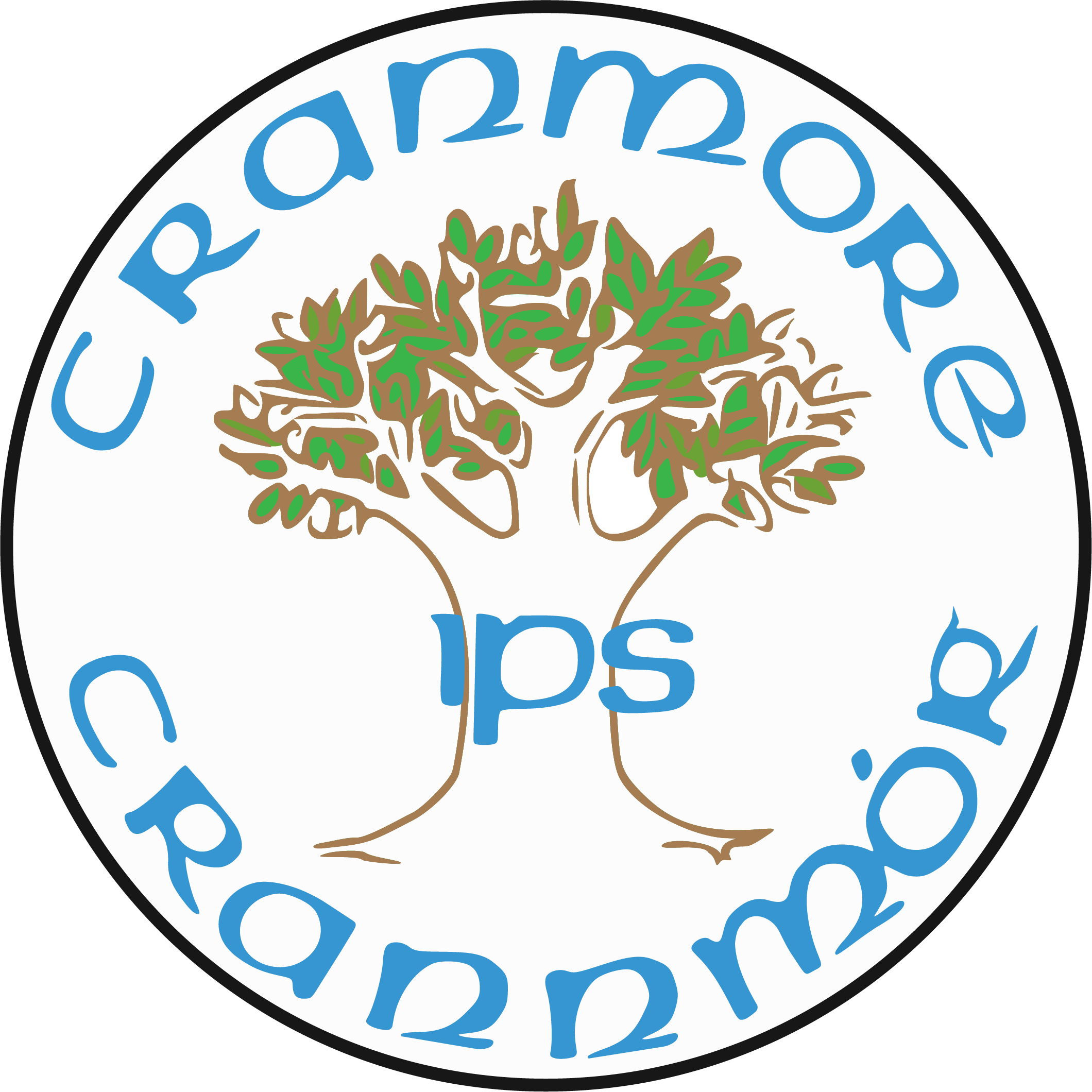 Cranmore IPS Secure Area